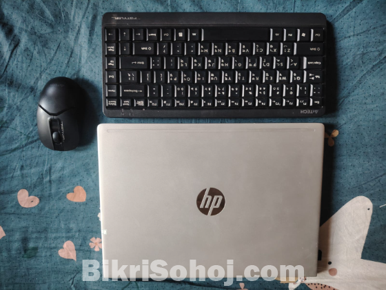 HP Probook 445 (G7)